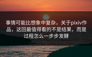 事情可能比想象中复杂，关于pixiv作品，这回最值得看的不是结果，而是过程怎么一步步发酵