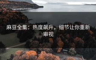 麻豆全集：热度飙升，细节让你重新审视