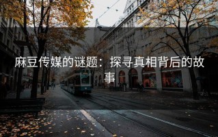 麻豆传媒的谜题：探寻真相背后的故事